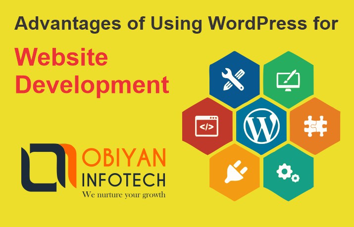 You are currently viewing Advantages of Using WordPress for Website Development