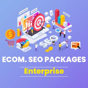 Ecom SEO Packages -Enterprise