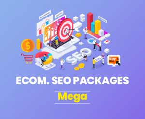 Seo Services Packages