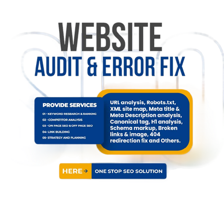 Website Audit & Error Fix