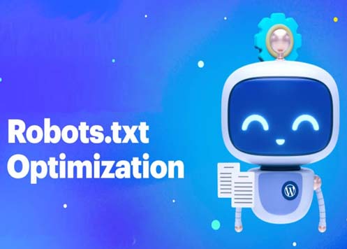 Robots File optimization seo