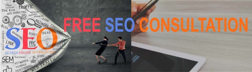 Free SEO Consultation - Obiyan Infotech