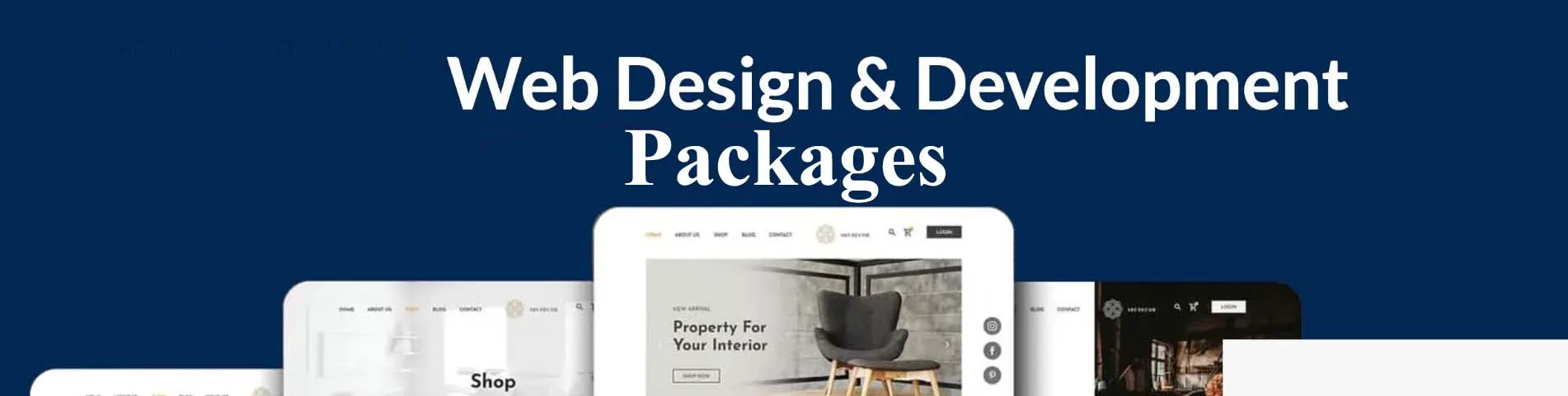 Web Design & Development Package